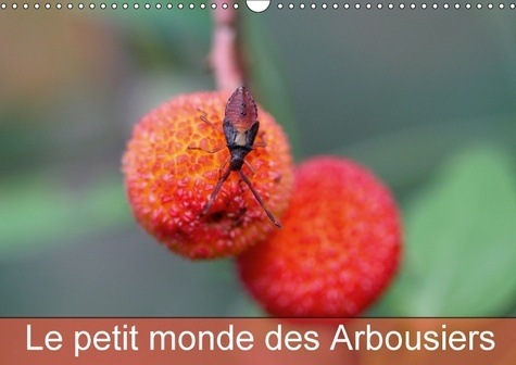 LE PETIT MONDE DES ARBOUSIERS CALENDRIER MURAL 2018 DIN A3 H - LES INSECTES DES ARBOUSIERS CA