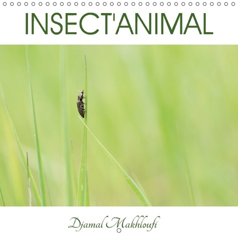 INSECT ANIMAL CALENDRIER MURAL 2018 300 300 MM SQUARE - DECOUVREZ L INTIMITE DES INSEC