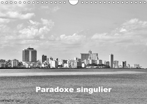 PARADOXE SINGULIER CALENDRIER MURAL 2018 DIN A4 HORIZONTAL - QUELQUES SCENES URBAINES TEMOI