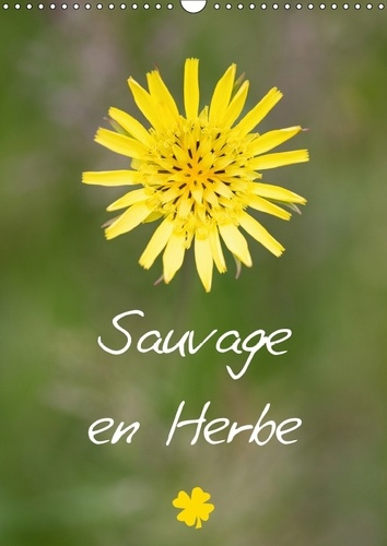 SAUVAGE EN HERBE CALENDRIER MURAL 2018 DIN A3 VERTICAL - SAUVAGE EN HERBE POUR UNE ANNE