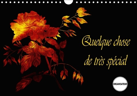 QUELQUE CHOSE DE TRES SPECIAL CALENDRIER MURAL 2018 DIN A4 H - DESSINS AUX COULEURS ENSOLEILL