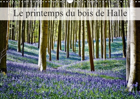LE PRINTEMPS DU BOIS DE HALLE CALENDRIER MURAL 2018 DIN A3 H - HALLERBOS LA FORET FEERIQUE CA