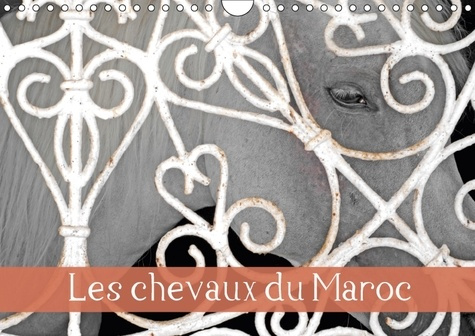 LES CHEVAUX DU MAROC CALENDRIER MURAL 2018 DIN A4 HORIZONTAL - BALADE DANS LES HARAS MAROCAIN