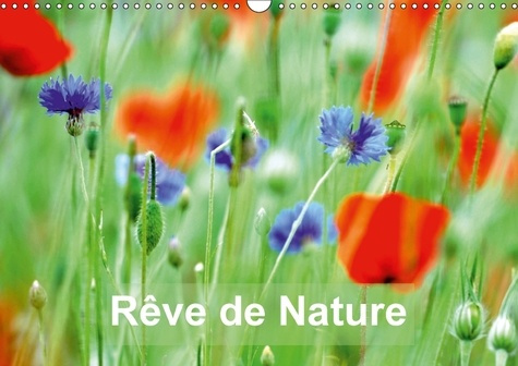 REVE DE NATURE CALENDRIER MURAL 2018 DIN A3 HORIZONTAL - PAYSAGES DE NATURE ET DE FLEUR