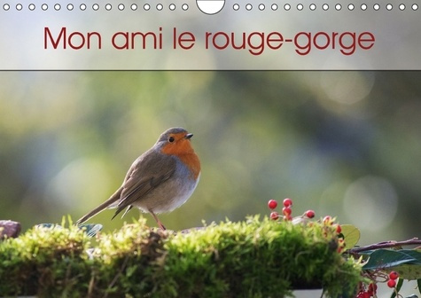 MON AMI LE ROUGE GORGE CALENDRIER MURAL 2018 DIN A4 HORIZONT - UNE ANNEE DE LA VIE DU ROUGE G