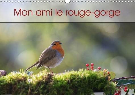 MON AMI LE ROUGE GORGE CALENDRIER MURAL 2018 DIN A3 HORIZONT - UNE ANNEE DE LA VIE DU ROUGE G