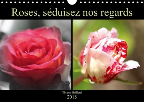 ROSES SEDUISEZ NOS REGARDS CALENDRIER MURAL 2018 DIN A4 HORI - DIVERS COLORIS DE ROSES CALEND