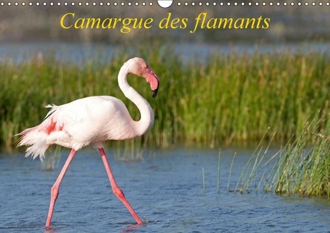 CAMARGUE DES FLAMANTS CALENDRIER MURAL 2018 DIN A3 HORIZONTA - LA CAMARGUE SES FLAMANTS ET SE