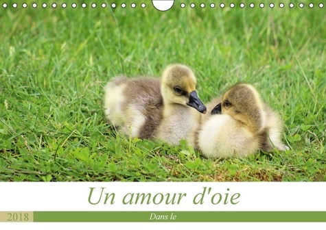 UN AMOUR D OIE CALENDRIER MURAL 2018 DIN A4 HORIZONTAL - LA VIE DE MES OIES DE LEURS NA