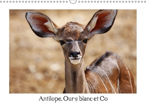 ANTILOPE OURS BLANC ET CO CALENDRIER MURAL 2018 DIN A3 HORIZ - ANIMAUX A L ETAT SAUVAGE CALEN