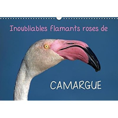 INOUBLIABLES FLAMANTS ROSES DE CAMARGUE CALENDRIER MURAL 201 - LES FLAMANTS ROSES SONT DES OI