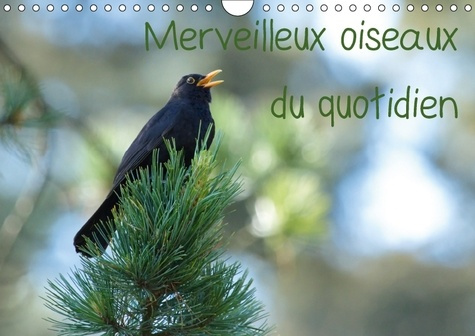 MERVEILLEUX OISEAUX DU QUOTIDIEN CALENDRIER MURAL 2018 DIN A - LE QUOTIDIEN OFFRE TANT DE MER