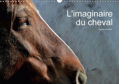 L IMAGINAIRE DU CHEVAL CALENDRIER MURAL 2018 DIN A3 HORIZONT - REGARD ABSTRAIT SUR LE CHEVAL