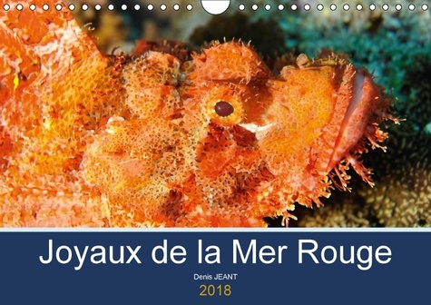 JOYAUX DE LA MER ROUGE CALENDRIER MURAL 2018 DIN A4 HORIZONT - DECOUVREZ LES FONDS RICHES EN