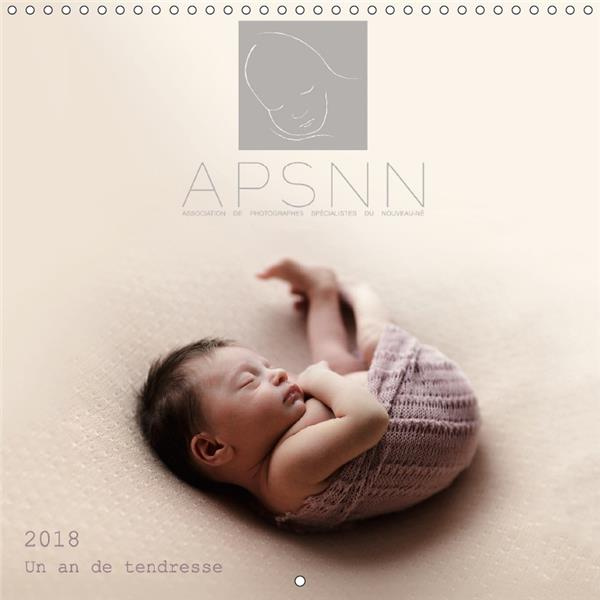 UN AN DE TENDRESSE CALENDRIER MURAL 2018 300 300 MM SQUARE - LE CALENDRIER DE L ASSOCIATION