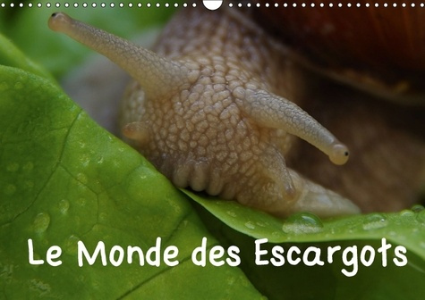 LE MONDE DES ESCARGOTS CALENDRIER MURAL 2018 DIN A3 HORIZONT - ESCARGOTS DANS NOTRE PAYSAGE C