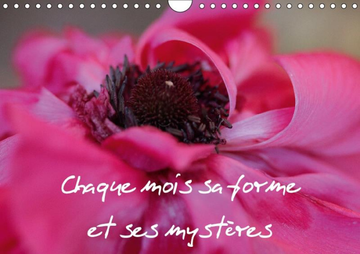 CHAQUE MOIS SA FORME ET SES MYSTERES CALENDRIER MURAL 2018 D - DANS CE CALENDRIER DES FORMES