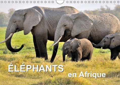 ELEPHANTS EN AFRIQUE (CALENDRIER MURAL 2018 DIN A4 HORIZONTAL) - LES ELEPHANTS D'AFRIQUE SONT IMPOSA