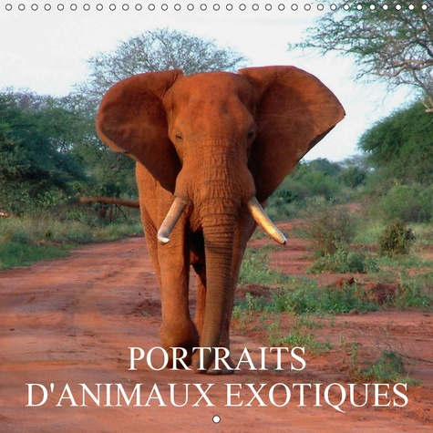 PORTRAITS D'ANIMAUX EXOTIQUES (CALENDRIER MURAL 2019 300 * 300 MM SQUARE) - RENCONTRES AVEC DES ANIM