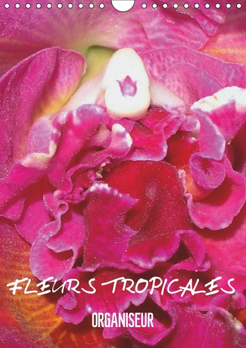 FLEURS TROPICALES / ORGANISEUR (CALENDRIER MURAL 2019 DIN A4 VERTICAL) - LA SPLENDEUR DES FLEURS TRO