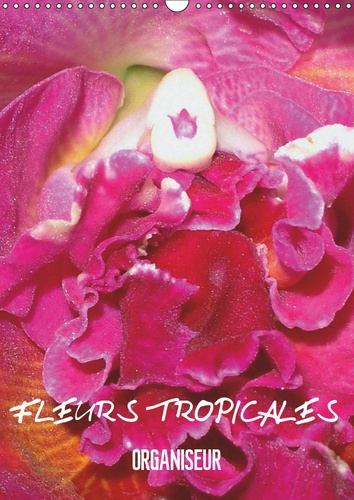 FLEURS TROPICALES / ORGANISEUR (CALENDRIER MURAL 2019 DIN A3 VERTICAL) - LA SPLENDEUR DES FLEURS TRO