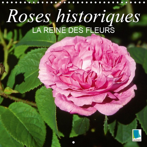ROSES HISTORIQUES - LA REINE DES FLEURS (CALENDRIER MURAL 2019 300 * 300 MM SQUARE) - BEAUTE, SENTEU