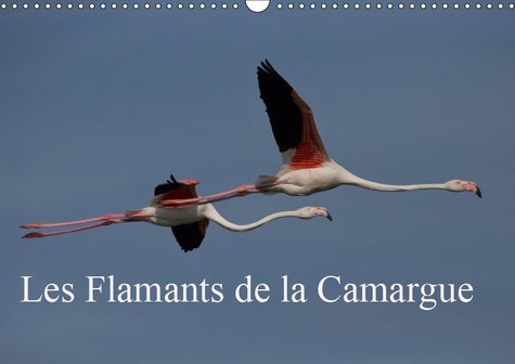 LES FLAMANTS DE LA CAMARGUE (CALENDRIER MURAL 2019 DIN A3 HORIZONTAL) - SCENES DE LA VIE D'UNE ESPEC