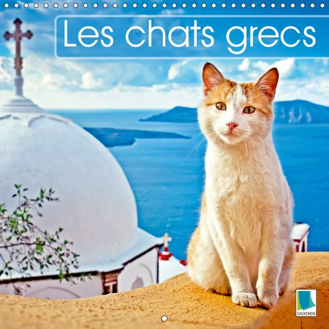 LES CHATS GRECS (CALENDRIER MURAL 2019 300 * 300 MM SQUARE) - DES CHATS EN VACANCES SE PRELASSANT AU