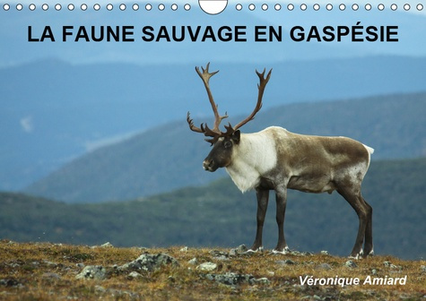 LA FAUNE SAUVAGE EN GASPESIE (CALENDRIER MURAL 2019 DIN A4 HORIZONTAL) - BIENVENUE DANS LE MONDE DES