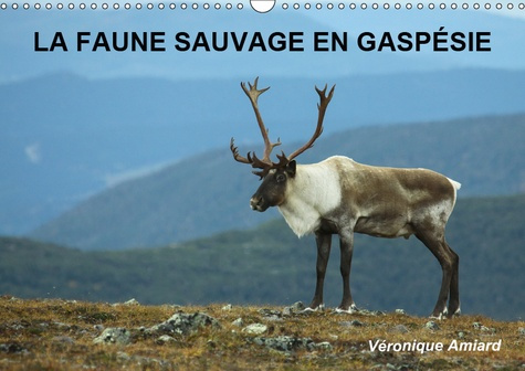 LA FAUNE SAUVAGE EN GASPESIE (CALENDRIER MURAL 2019 DIN A3 HORIZONTAL) - BIENVENUE DANS LE MONDE DES