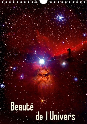 BEAUTE DE L'UNIVERS (CALENDRIER MURAL 2019 DIN A4 VERTICAL) - PHOTOS DU SOLEIL, D'ETOILES ET DE NEBU