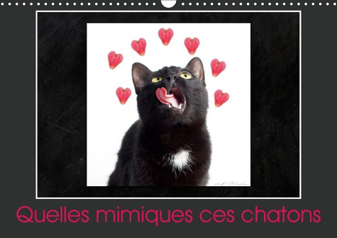 QUELLES MIMIQUES CES CHATONS (CALENDRIER MURAL 2019 DIN A3 HORIZONTAL) - UN CALENDRIER PLEIN D'HUMOU