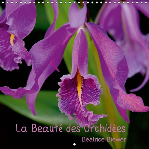 LA BEAUTE DES ORCHIDEES (CALENDRIER MURAL 2019 300 * 300 MM SQUARE) - DES FLEURS FASCINANTES AU FORM