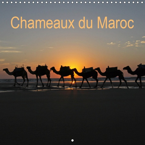 CHAMEAUX DU MAROC (CALENDRIER MURAL 2019 300 * 300 MM SQUARE) - TREKKING AVEC DES CHAMEAUX AU MAROC