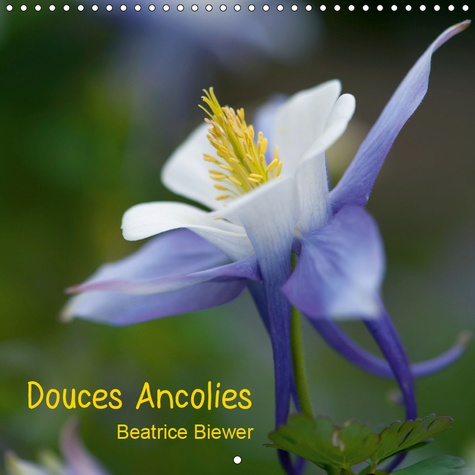 DOUCES ANCOLIES (CALENDRIER MURAL 2019 300 * 300 MM SQUARE) - LES JOLIES PETITES FLEURS D'ANCOLIE (C