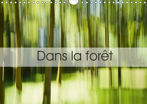 DANS LA FORET (CALENDRIER MURAL 2019 DIN A4 HORIZONTAL) - UNE SUITE D'IMAGES PRISES EN CREUSE... (CA