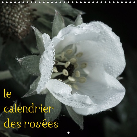 LE CALENDRIER DES ROSEES (CALENDRIER MURAL 2019 300 * 300 MM SQUARE) - PHOTOS D'UNE ANNEE DE GOUTTES