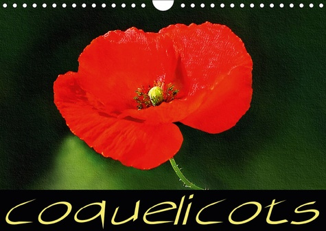 COQUELICOTS (CALENDRIER MURAL 2019 DIN A4 HORIZONTAL) - SERIE DE TABLEAUX DE FLEURS DE COQUELICOT (C