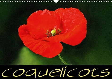 COQUELICOTS (CALENDRIER MURAL 2019 DIN A3 HORIZONTAL) - SERIE DE TABLEAUX DE FLEURS DE COQUELICOT (C