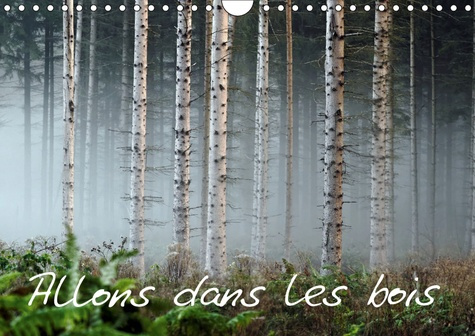 ALLONS DANS LES BOIS (CALENDRIER MURAL 2019 DIN A4 HORIZONTAL) - LA FORET AU TRAVERS DES SAISONS. (C