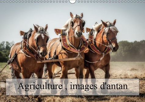 AGRICULTURE, IMAGES D'ANTAN (CALENDRIER MURAL 2019 DIN A3 HORIZONTAL) - DES IMAGES QUI RESTENT DANS