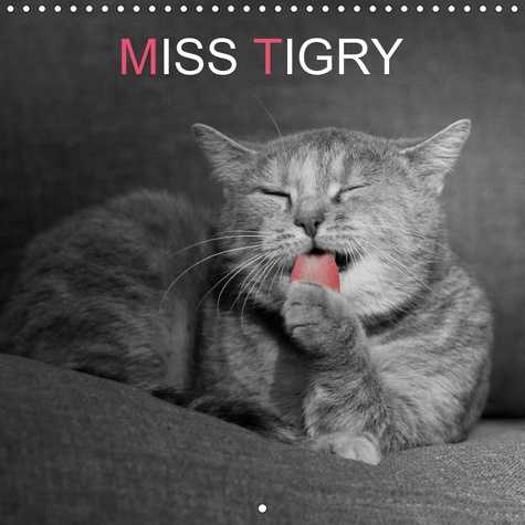 MISS TIGRY (CALENDRIER MURAL 2019 300 * 300 MM SQUARE) - MISS TIGRY OU LA VIE D'UN CHAT (CALENDRIER