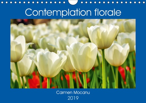 CONTEMPLATION FLORALE (CALENDRIER MURAL 2019 DIN A4 HORIZONTAL) - LA CONTEMPLATION D'UNE FLEUR EST U