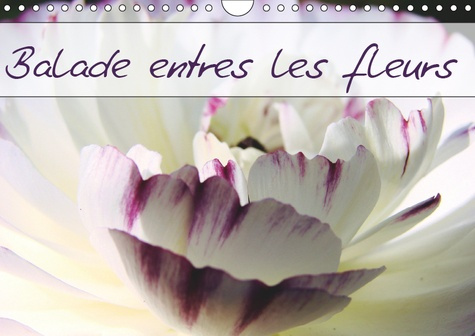 BALADE ENTRE LES FLEURS (CALENDRIER MURAL 2019 DIN A4 HORIZONTAL) - PHOTOS DE FLEURS DES CHAMPS ET D