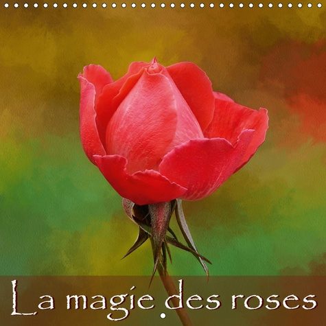 LA MAGIE DES ROSES (CALENDRIER MURAL 2019 300 * 300 MM SQUARE) - SERIE DE TABLEAUX DE ROSES. (CALEND