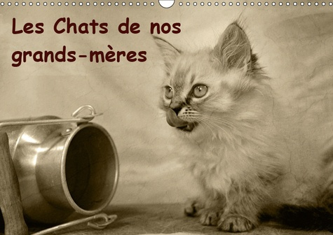 LES CHATS DE NOS GRANDS-MERES (CALENDRIER MURAL 2019 DIN A3 HORIZONTAL) - MERVEILLEUSES PHOTOS QUI R