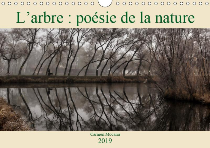 L'ARBRE : POESIE DE LA NATURE (CALENDRIER MURAL 2019 DIN A4 HORIZONTAL) - LA NATURE NOUS ENSEIGNE DE