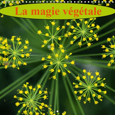 LA MAGIE VEGETALE (CALENDRIER MURAL 2019 300 * 300 MM SQUARE) - FLEURS ET FLORE, UN FEU D'ARTIFICE D