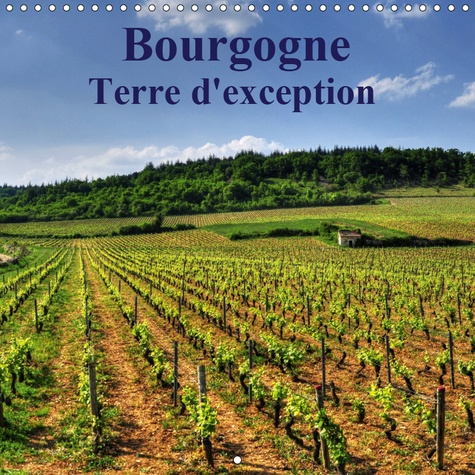 BOURGOGNE TERRE D'EXCEPTION (CALENDRIER MURAL 2019 300 * 300 MM SQUARE) - LA BOURGOGNE MAGNIFIQUE RE