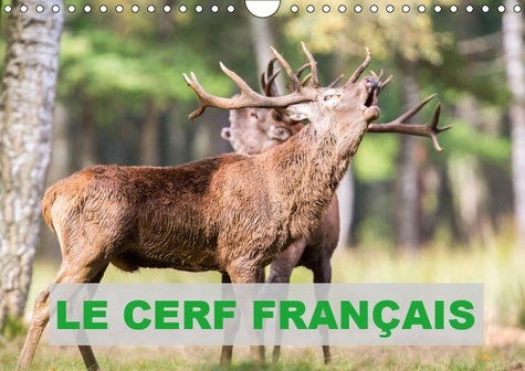 LE CERF FRANCAIS (CALENDRIER MURAL 2019 DIN A4 HORIZONTAL) - PHOTOS DE CERFS EN FRANCE (CALENDRIER M